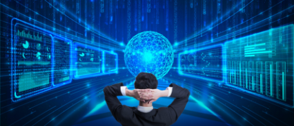 应用脱敏（业务数据访问使用）